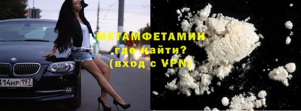 прущие грибы Гусиноозёрск