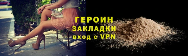 прущие грибы Гусиноозёрск