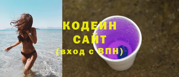 прущие грибы Гусиноозёрск