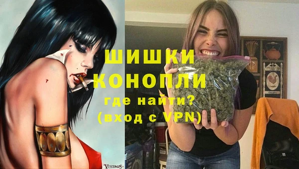прущие грибы Гусиноозёрск