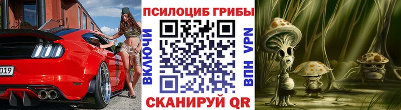 Галлюциногенные грибы Cubensis  Купить где  Наро-Фоминск 